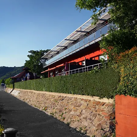 Rheinkoenig Отель Камп-Борнхофен