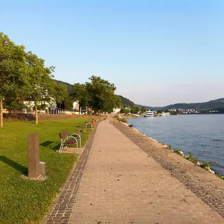 Отель Rheinkoenig 3*