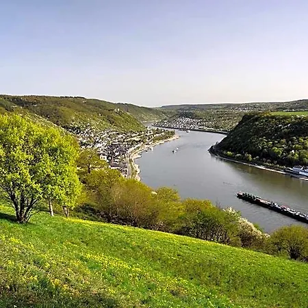 Hotell Rheinkoenig 3*