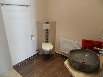 Отель Rheinkoenig